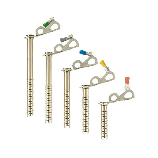 Black Diamond Express Ice Screw